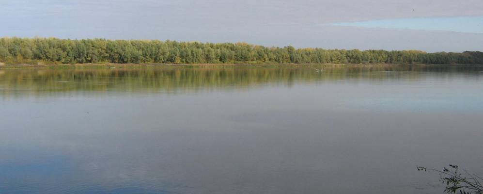 Фотография Чернополянского