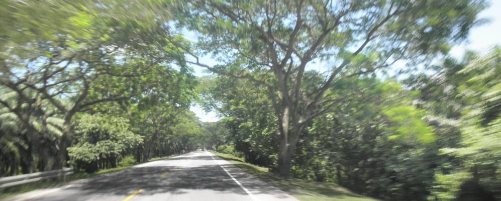 
            Фотография Аригвани