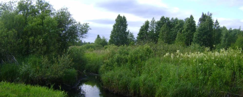 Фотография Воротишино