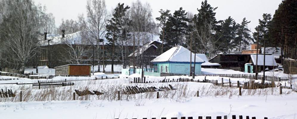 
            Фотография Сосновки