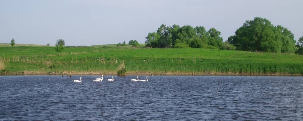 
            Фотография Никольского