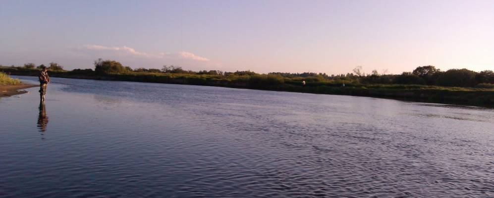 Фотография Бродца