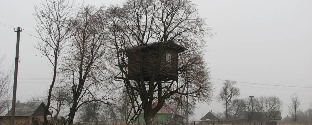 
            Фотография Дальнича