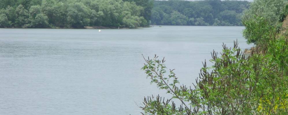 
            Фотография Колоса