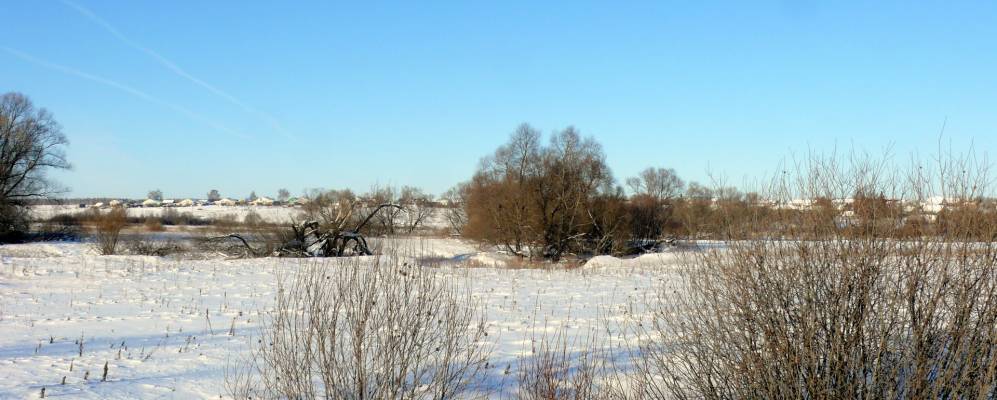 
            Фотография Даровой