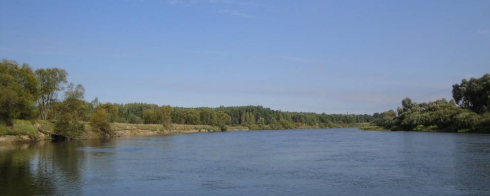 
            Фотография Рудни