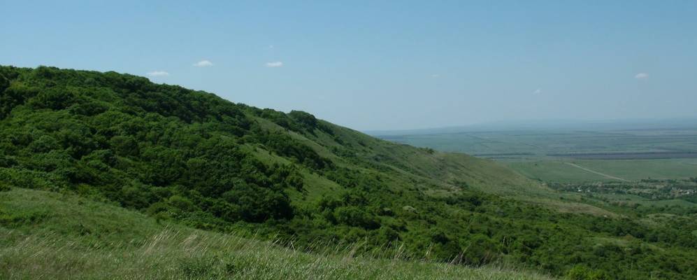 
            Фотография Крымгиреевского