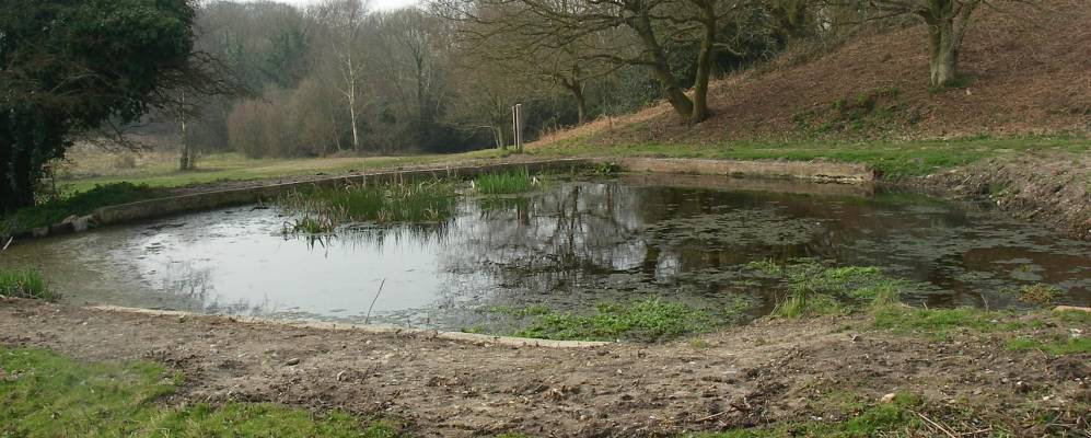 
            Фотография Холт