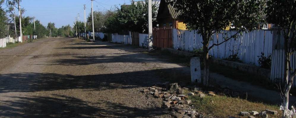 
            Фотография Карпиловки