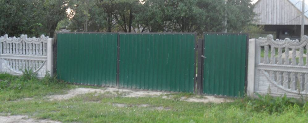 
            Фотография Дибровой