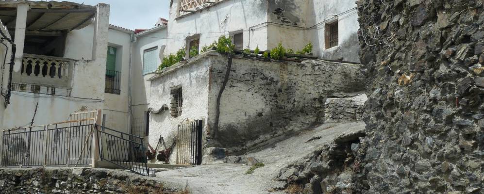 
            Фотография Полопоса