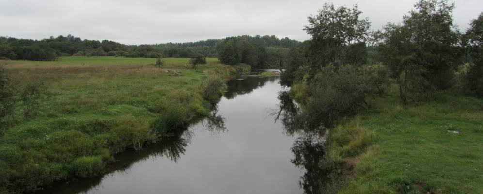 
            Фотография Гибно