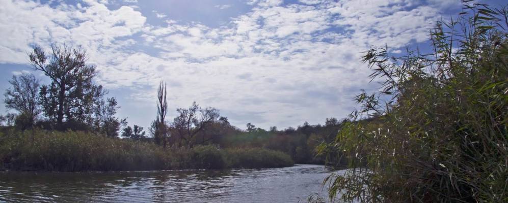 Фотография Новолатовки