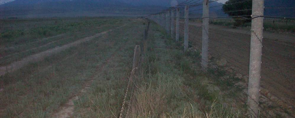 
            Фотография пос. Алмалы