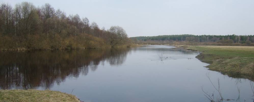 Фотография деревни Лещины