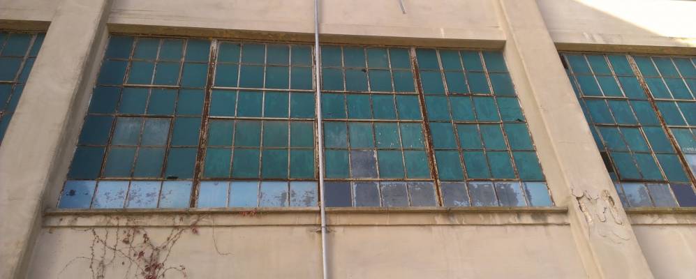 
            Фотография Клавера