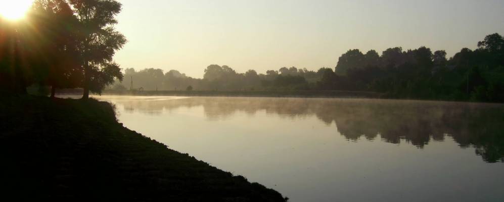 
            Фотография Чапли