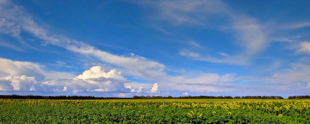 Фотография Срезневских Выселок