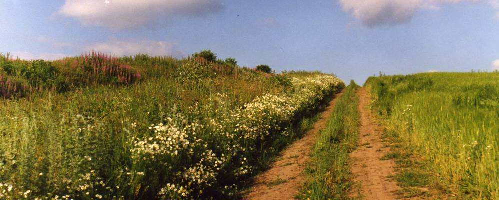 Фотография Новой Знаменки