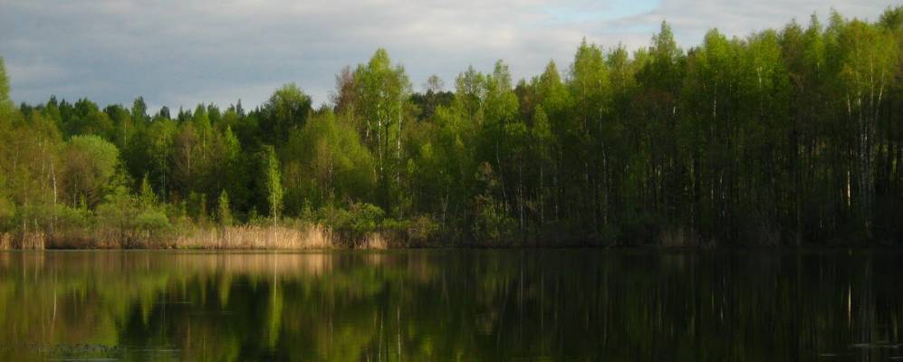 
            Фотография Шейкино