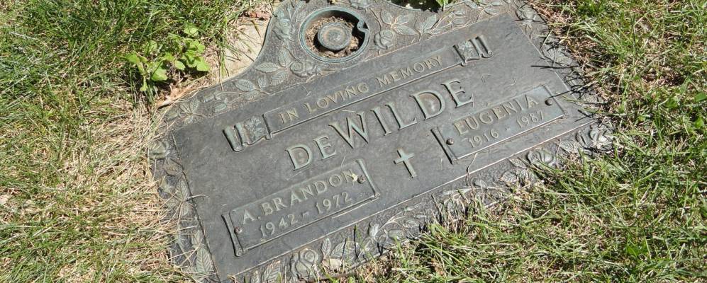 
            Фотография Витлей Хайтс