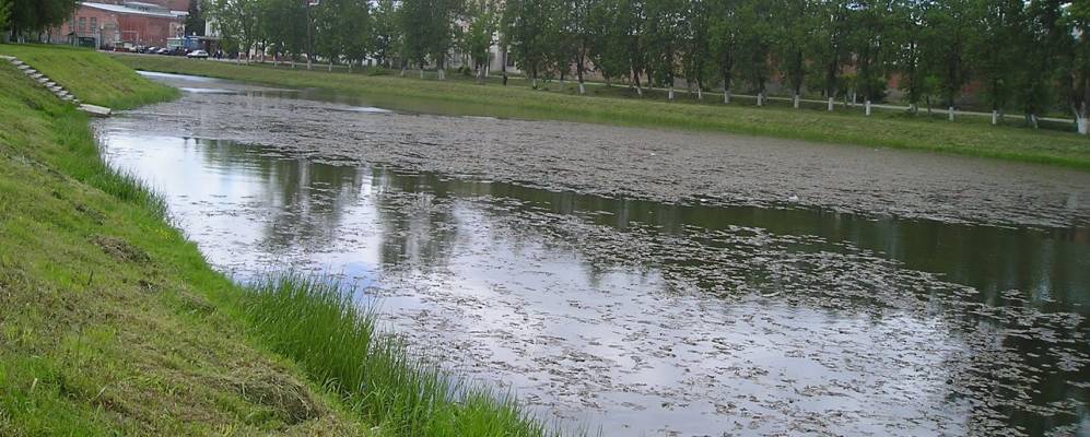 
            Фотография Мичурихи