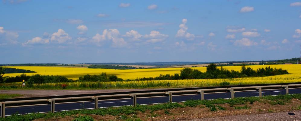 
            Фотография Владимировки