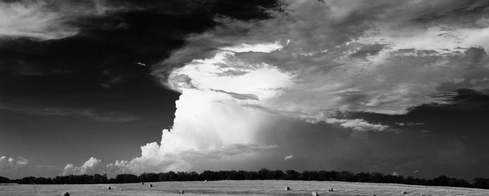 
            Фотография Конверса