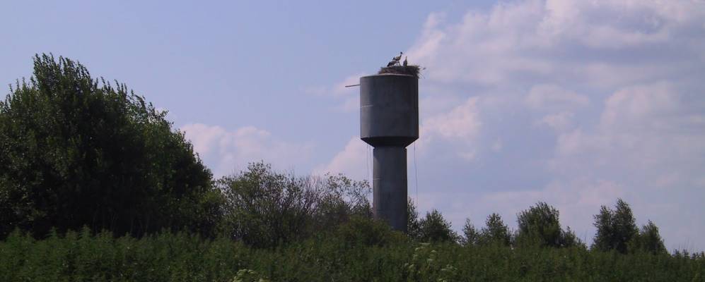 
            Фотография Горлово