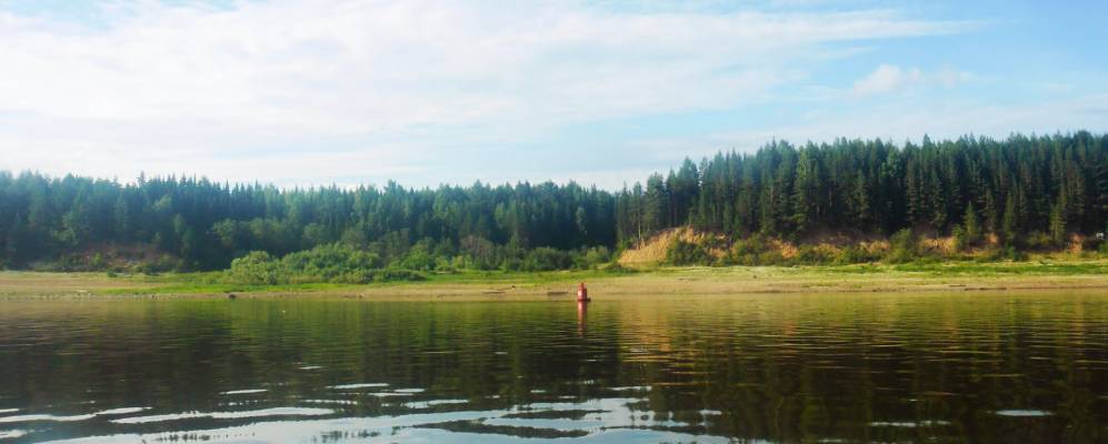 Фотография Чаплинской
