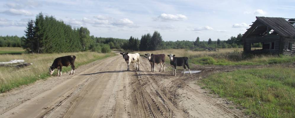 
            Фотография Верховино