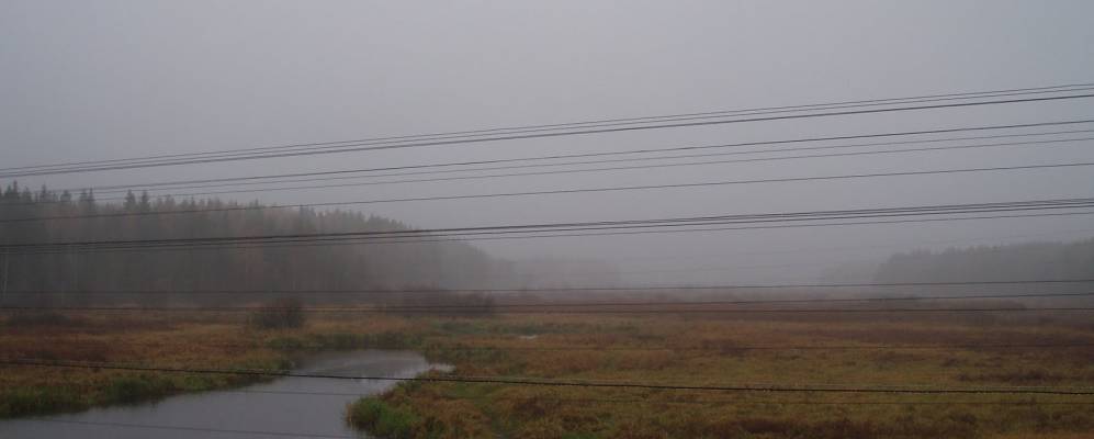 
            Фотография Плоскиряты