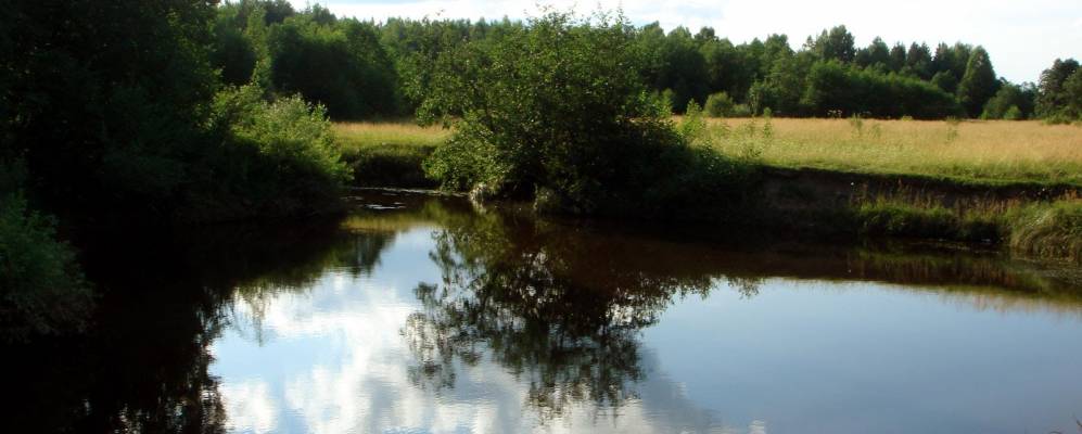 Фотография Баранихи