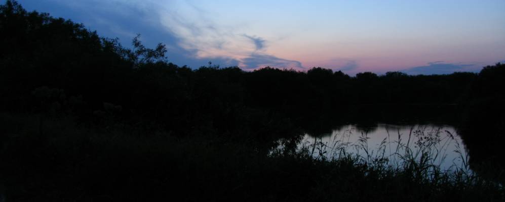 
            Фотография Пашни