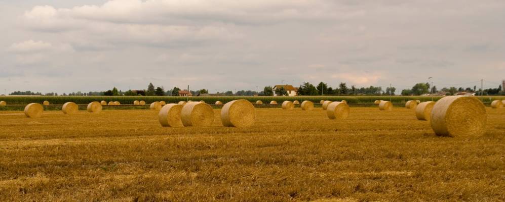 
            Фотография Догато