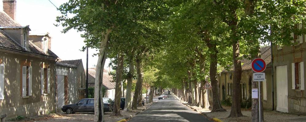 
            Фотография Шампиньи