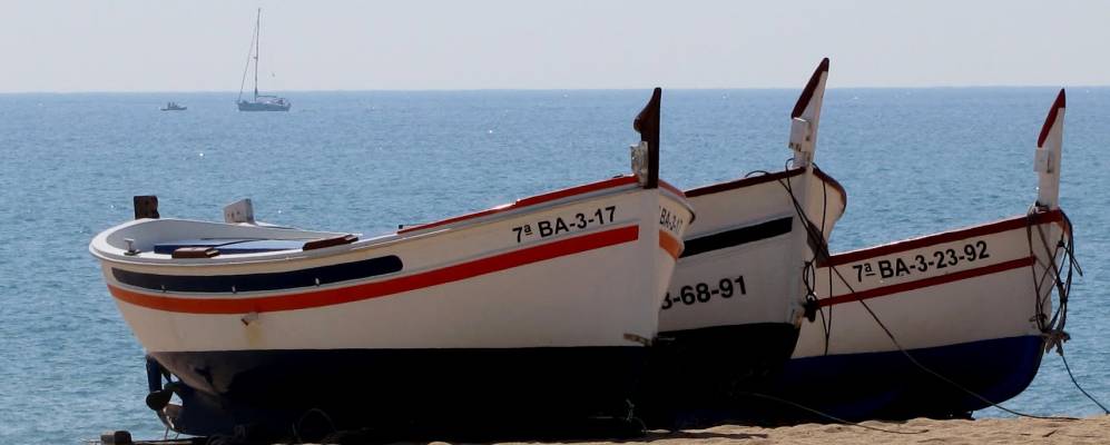 
            Фотография Калельи