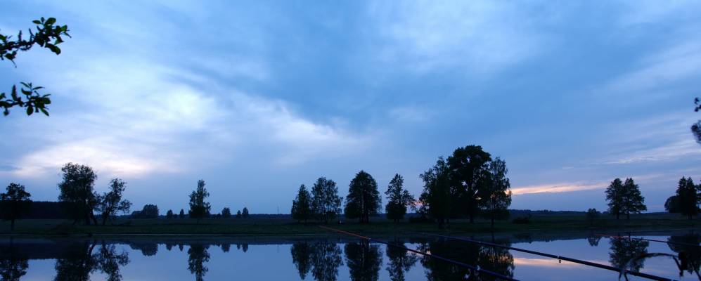 
            Фотография Алеево