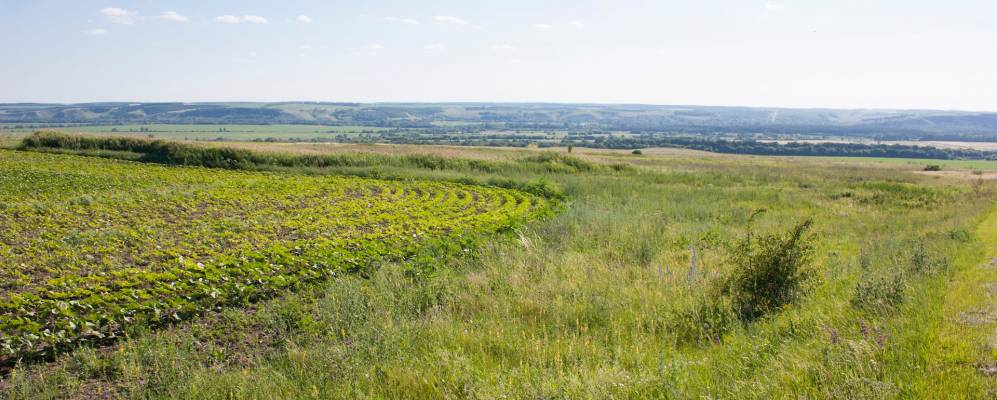 
            Фотография Владимировки