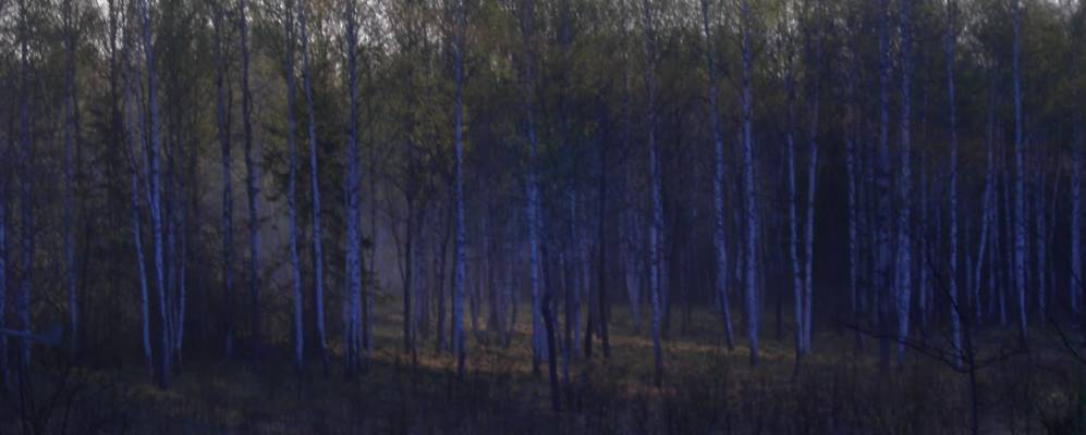 
            Фотография Мухино