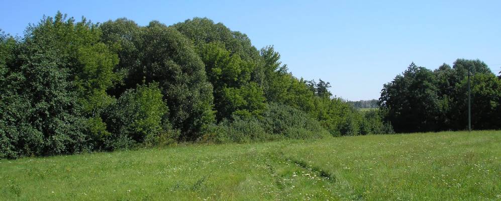 
            Фотография Грачевки Второй