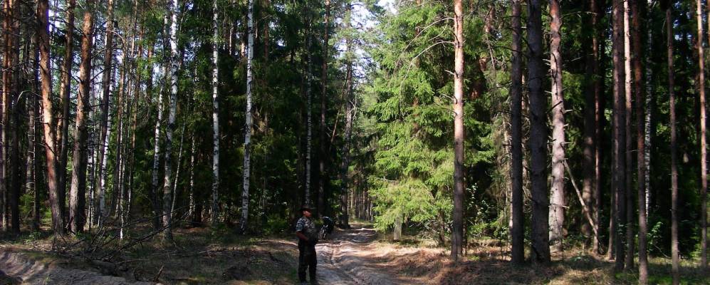 Фотография Ково