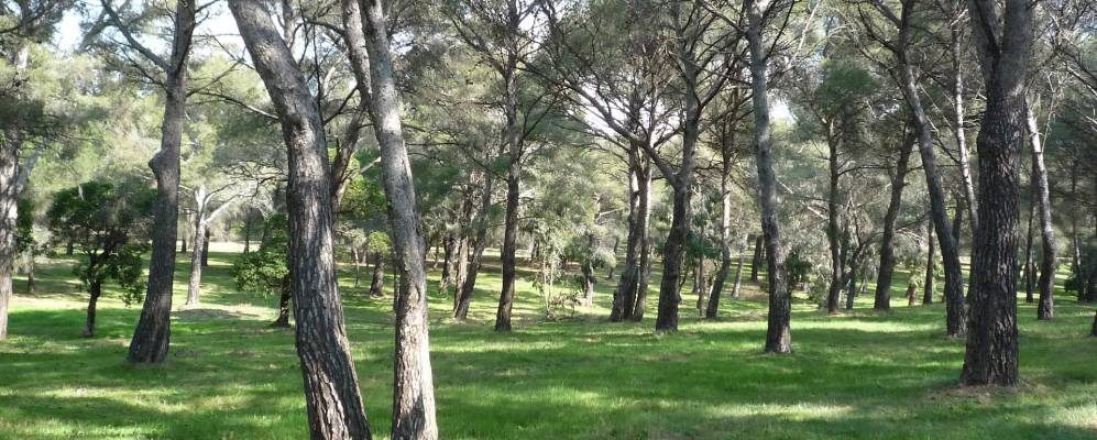 
            Фотография Иль-дю-Леван