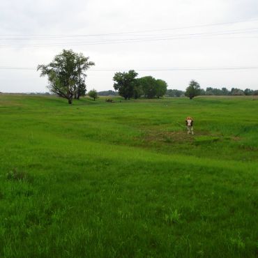 Лебяжья Поляна