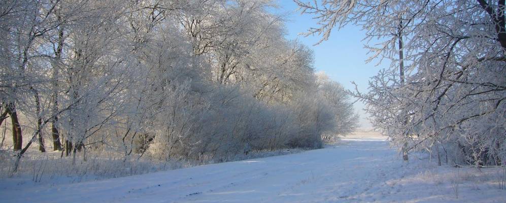 Фотография Ейского
