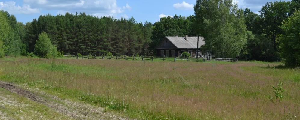 
            Фотография Софьинского