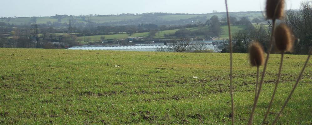 
            Фотография Ройдона