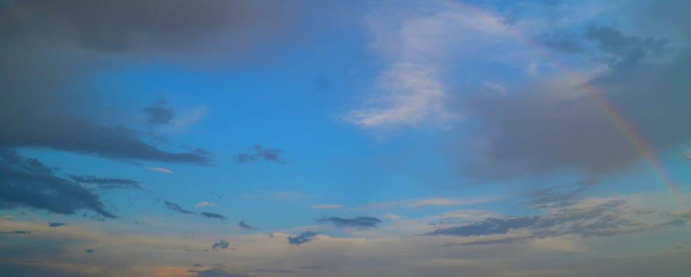 
            Фотография Поддубок