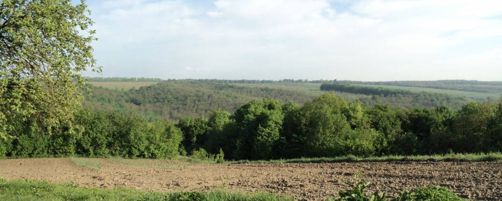 Фотография Владимировки