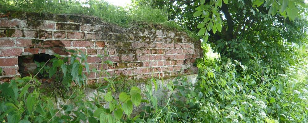 
            Фотография Буйгорода